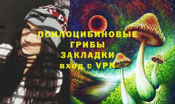 стафф Белокуриха